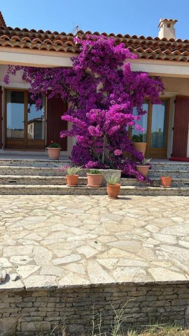 Villa Avec Jardin Au Calme A 7 Min De Cassis Roquefort-la-Bédoule Exterior foto
